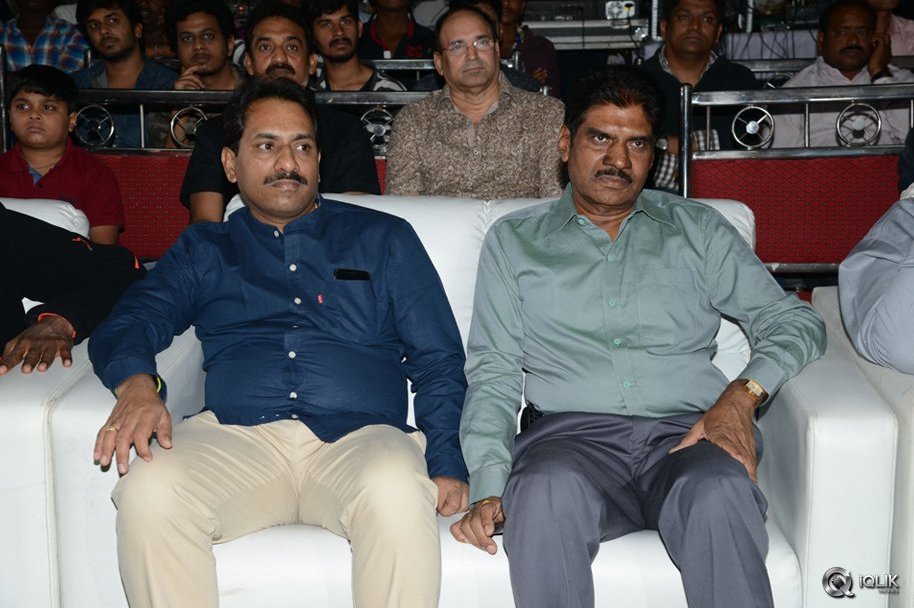 Bengal-Tiger-Movie-Triple-Platinum-Disc-Function